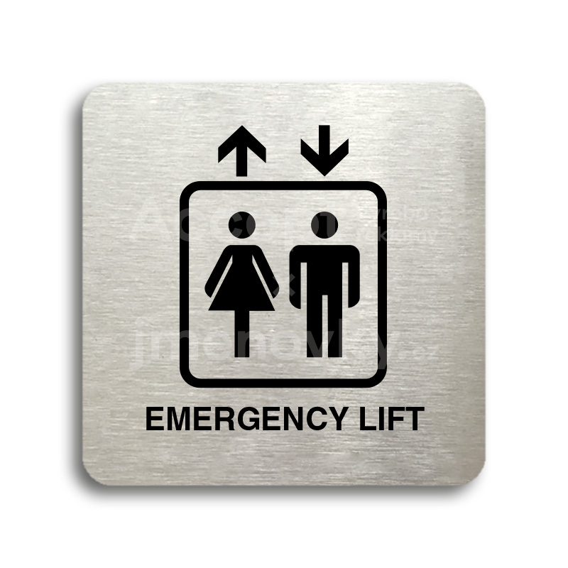 ACCEPT Piktogram emergency lift - stříbrná tabulka - černý tisk bez rámečku