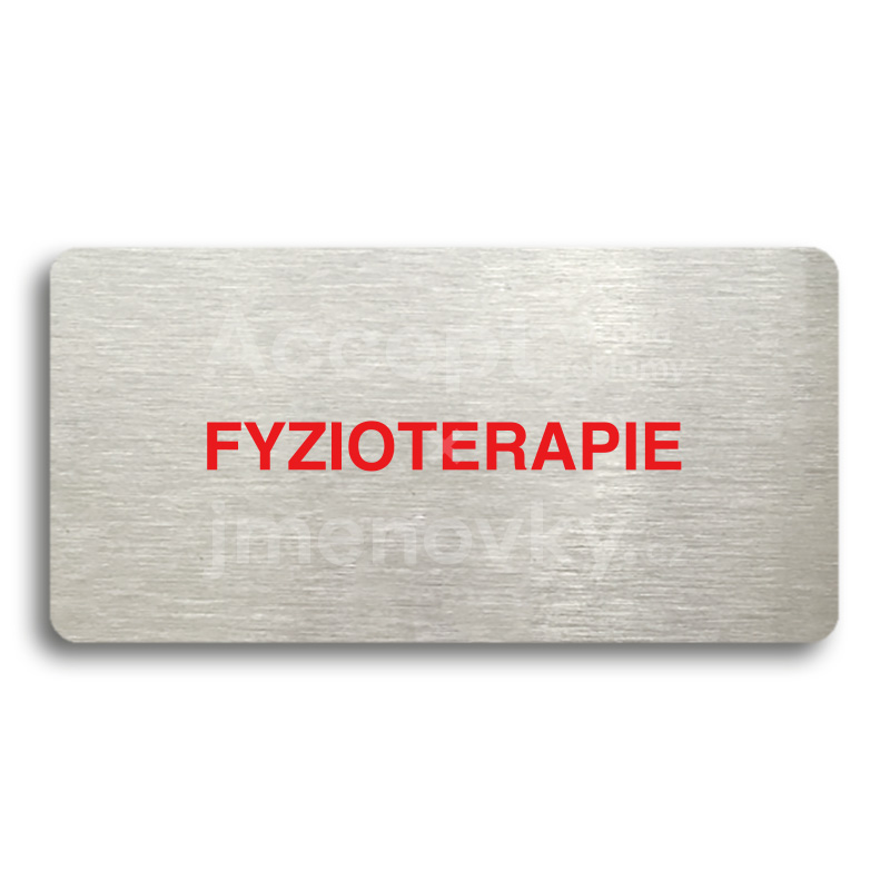 Piktogram "FYZIOTERAPIE" - stříbrná tabulka - barevný tisk bez rámečku
