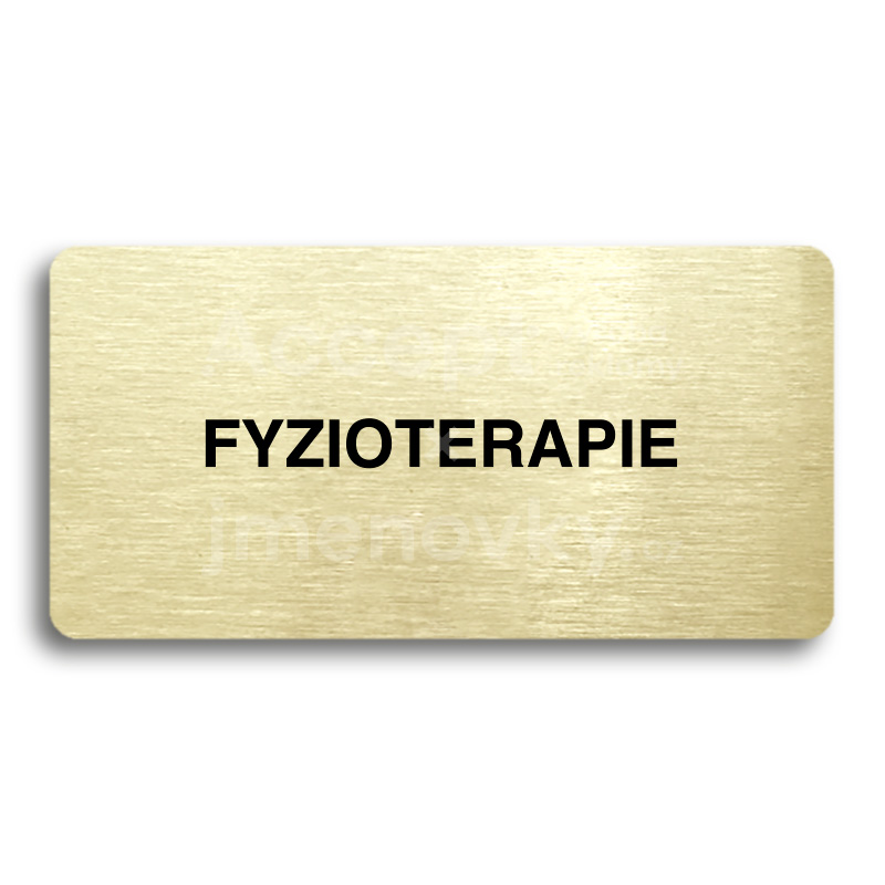 Piktogram "FYZIOTERAPIE" - zlatá tabulka - černý tisk bez rámečku