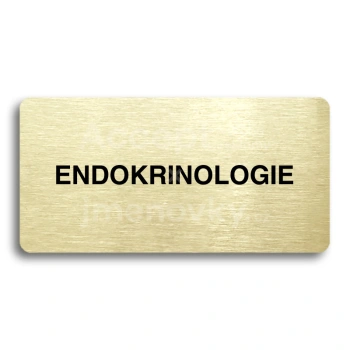 Piktogram "ENDOKRINOLOGIE" - zlatá tabulka - černý tisk bez rámečku
