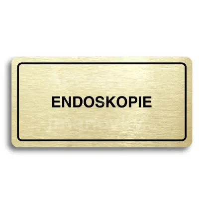 Piktogram "ENDOSKOPIE" - zlatá tabulka - černý tisk