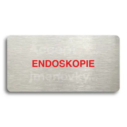 Piktogram "ENDOSKOPIE" - stříbrná tabulka - barevný tisk bez rámečku