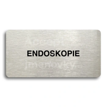 Piktogram "ENDOSKOPIE" - stříbrná tabulka - černý tisk bez rámečku