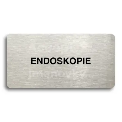 Piktogram "ENDOSKOPIE" - stříbrná tabulka - černý tisk bez rámečku