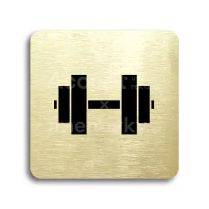 Piktogram "fitness V" - zlatá tabulka - černý tisk bez rámečku