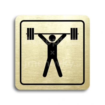 Piktogram "fitness VI" - zlatá tabulka - černý tisk