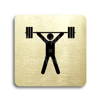 Piktogram "fitness VI" - zlatá tabulka - černý tisk bez rámečku