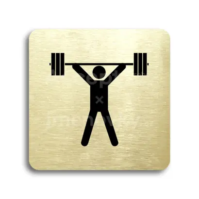 Piktogram "fitness VI" - zlatá tabulka - černý tisk bez rámečku