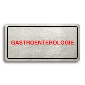 Piktogram "GASTROENTEROLOGIE" - stříbrná tabulka - barevný tisk