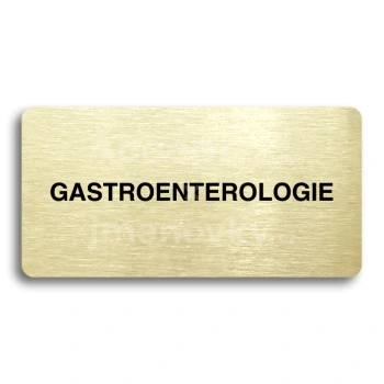 Piktogram "GASTROENTEROLOGIE " - zlatá tabulka - černý tisk bez rámečku