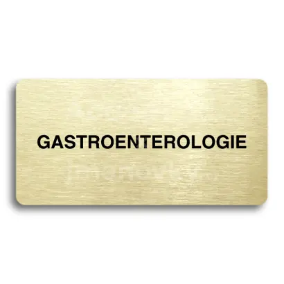 Piktogram "GASTROENTEROLOGIE " - zlatá tabulka - černý tisk bez rámečku