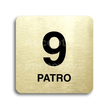 Piktogram "patro IX" - zlatá tabulka - černý tisk bez rámečku