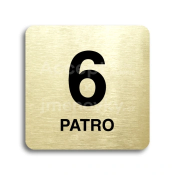 Piktogram "patro VI" - zlatá tabulka - černý tisk bez rámečku