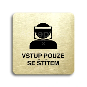 Piktogram "vstup pouze se štítem III" - zlatá tabulka - černý tisk bez rámečku