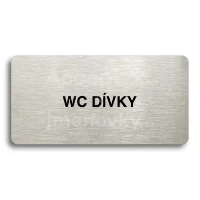 Piktogram "WC DÍVKY" - stříbrná tabulka - černý tisk bez rámečku