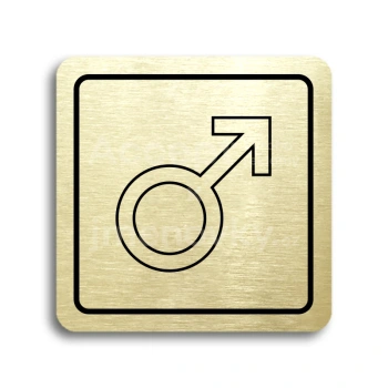 Piktogram "WC muži V" - zlatá tabulka - černý tisk