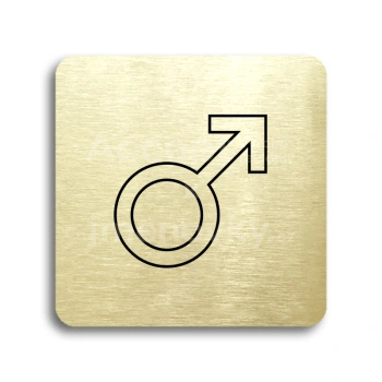 Piktogram "WC muži V" - zlatá tabulka - černý tisk bez rámečku